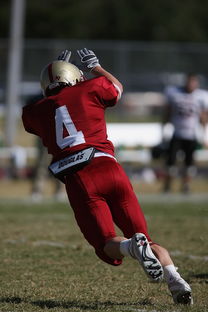 九游网页版入口-意甲球队防守阵型调整对对手进攻成功率的影响，意甲防守怎么这么严